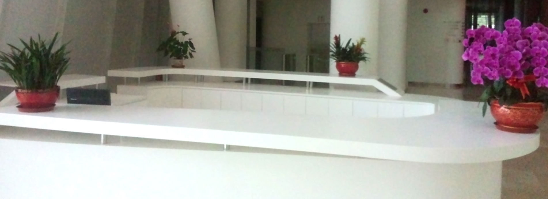 banner1